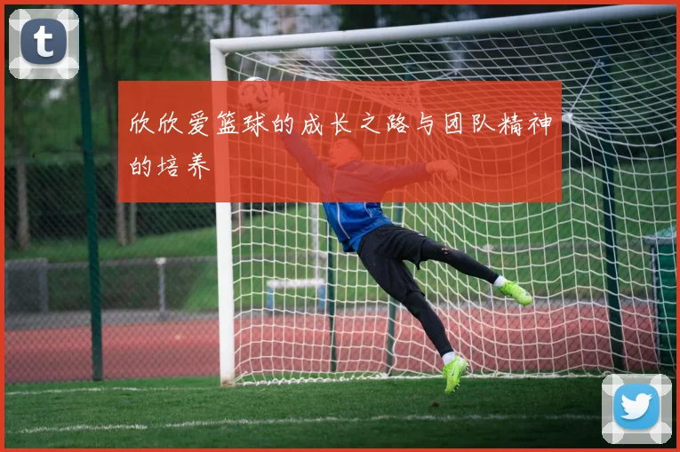 欣欣爱篮球的成长之路与团队精神的培养