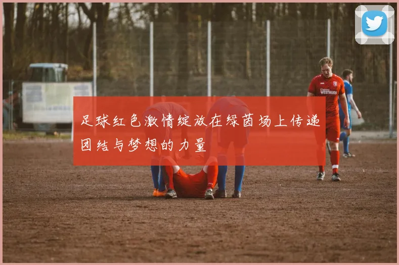 足球红色激情绽放在绿茵场上传递团结与梦想的力量
