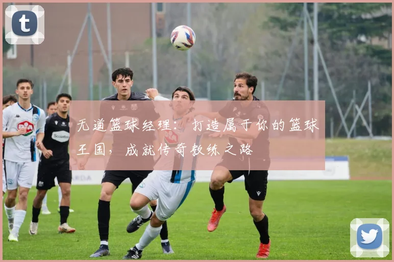 无道篮球经理：打造属于你的篮球王国，成就传奇教练之路