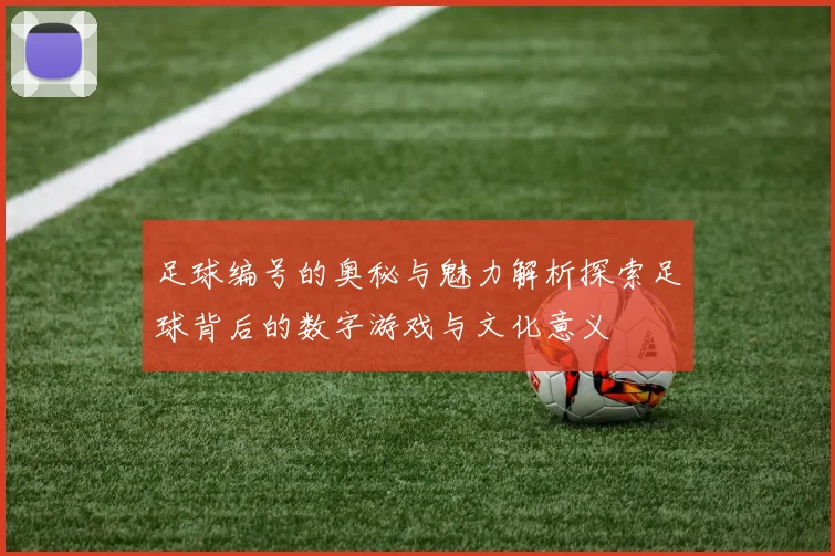 足球编号的奥秘与魅力解析探索足球背后的数字游戏与文化意义