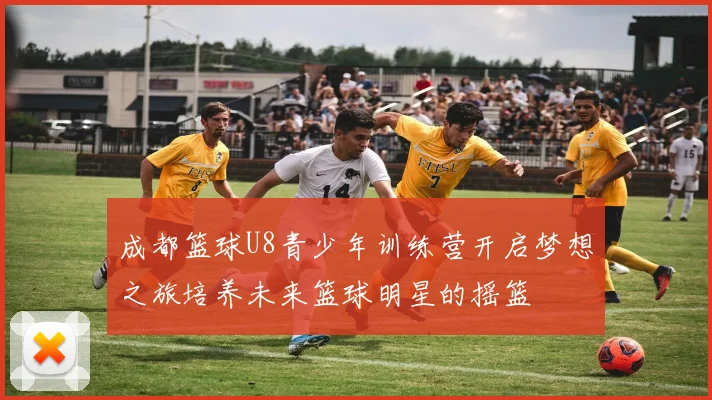 成都篮球U8青少年训练营开启梦想之旅培养未来篮球明星的摇篮