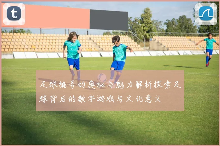 足球编号的奥秘与魅力解析探索足球背后的数字游戏与文化意义