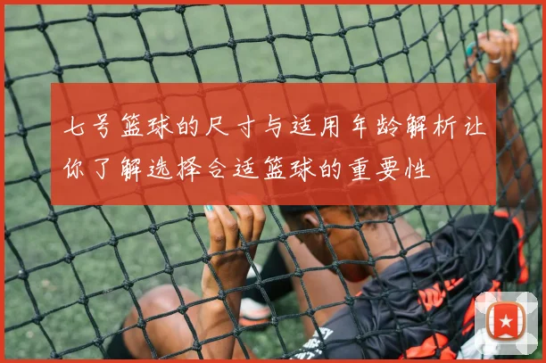 七号篮球的尺寸与适用年龄解析让你了解选择合适篮球的重要性