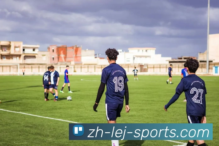 乐竞平台平台生态图