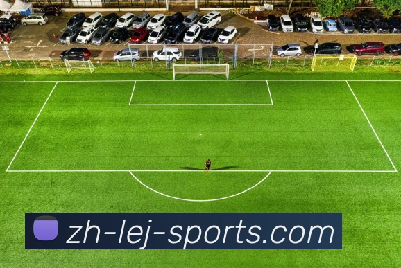 数据防护可视化